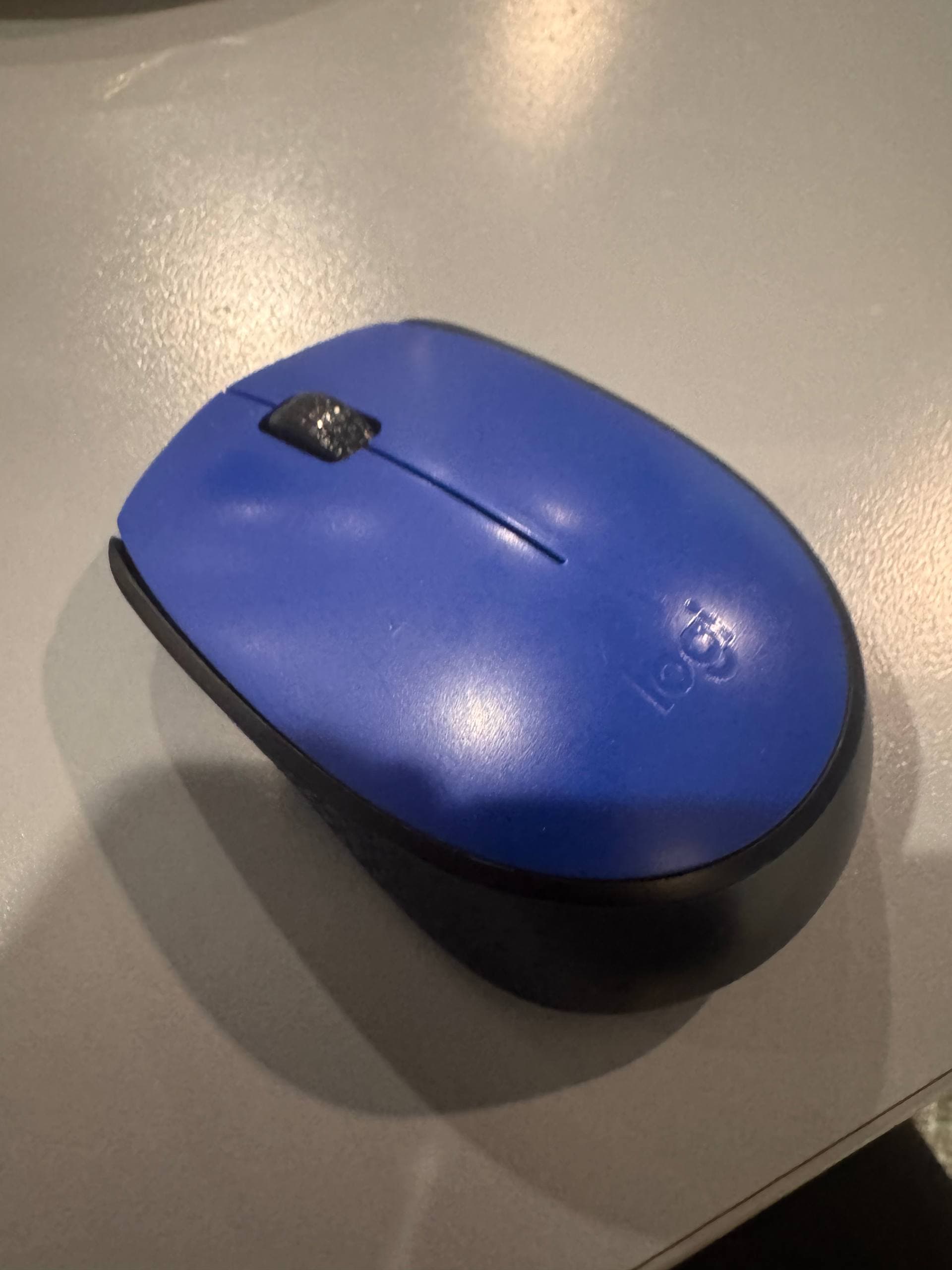 Logitech Draadloze Muis (Blauw)